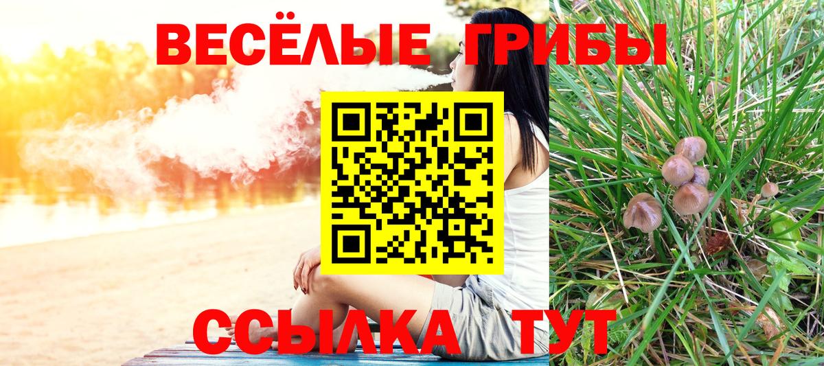 Галлюциногенные грибы MAGIC MUSHROOMS  Вход с VPN  Ивантеевка  Галлюциногенные грибы MAGIC MUSHROOMS 